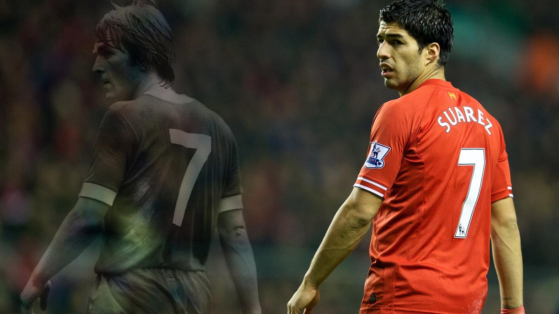 当翡翠绿遇见鸢尾紫，托尼的魔法之夜，爱尔兰与佛罗伦萨的时空交响