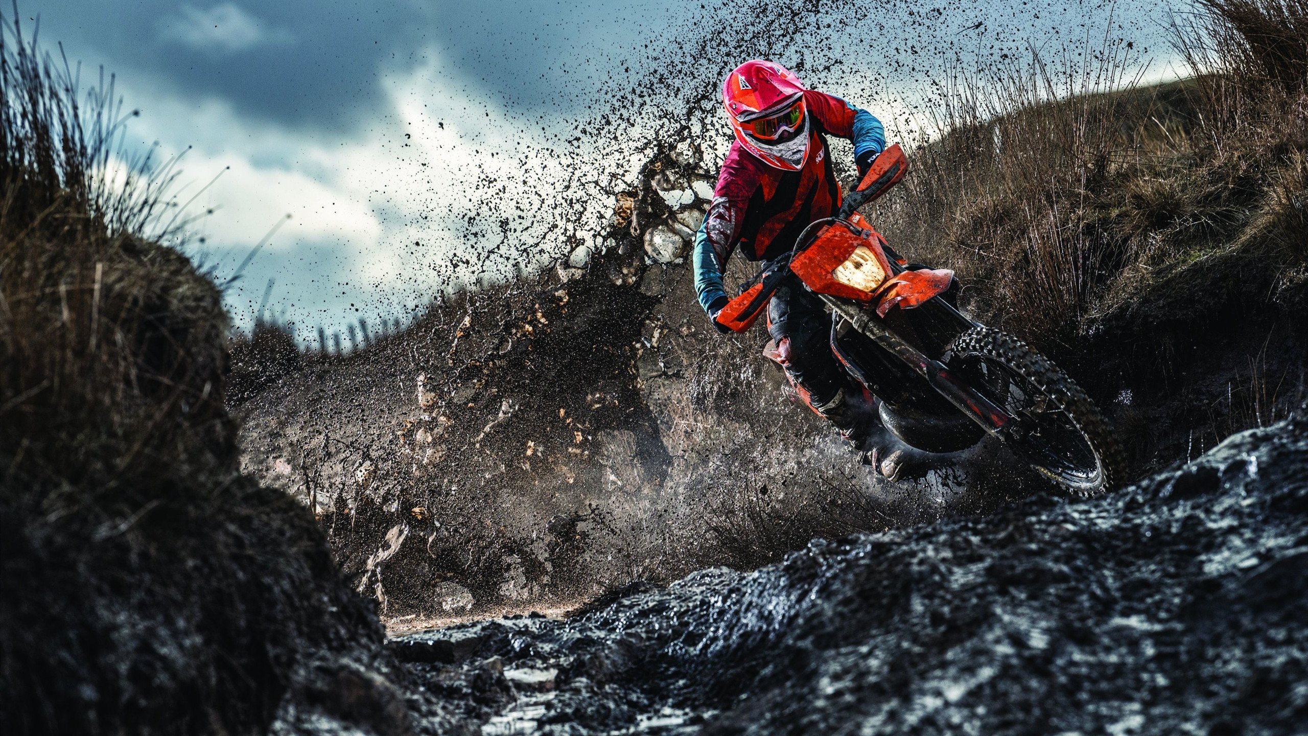 北非雄鹰展翅基辅，当阿尔及利亚单节成为东决转折点